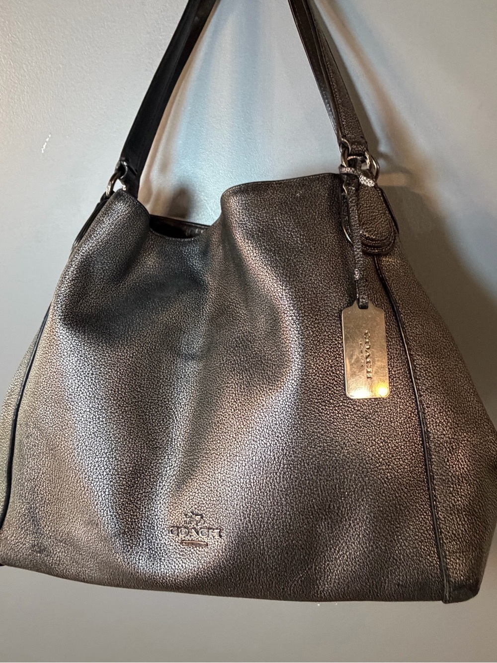 Coach Pebbled Leather Metallic Edie Bag